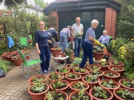 Pots of plants for care homes
