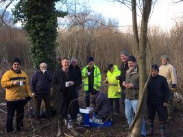 Coppicing in Spring Wood