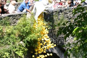 Betws-y-Coed Duck Race