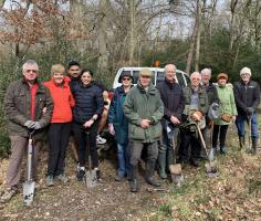 Tree planting