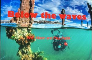 Wonders of the Sea!