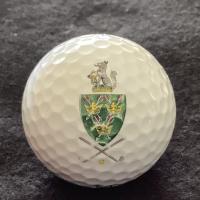Bury St Edmunds Golf Day 
