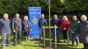 Tree planting in St Mellons