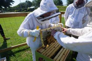 Beekeepers