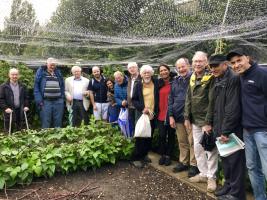 Us on the allotment under wet netting!