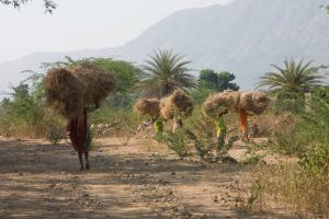 The Mali Development Group which works with very disadvantaged children