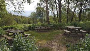 Kinver Canal side picnic area 1