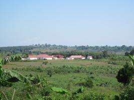 Planting for Hope Uganda