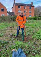 Tree Planting