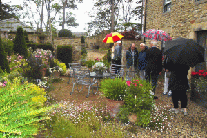 Spectacular Garden Visit