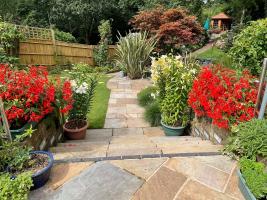 NGS Open Garden at Martin's House