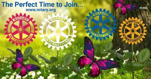 Rotary is always looking for Ordinary people who can do Extraordinary things together. - Are you one??