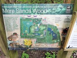 Mere Sands Wood