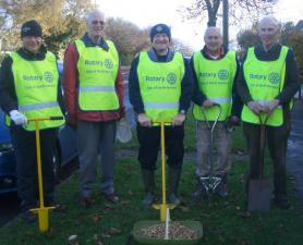 Bulb Planting