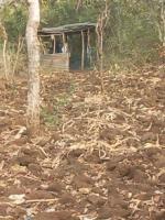 The derelict shelter