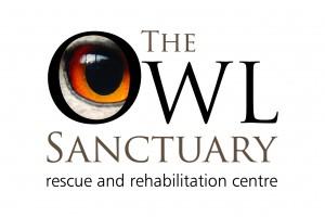 The Owl Sanctuary