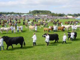 Oswestry Show