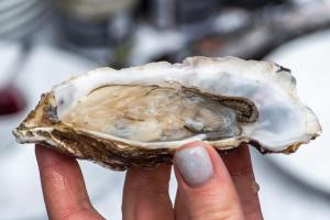 A hand holding up an oyster in its shell.