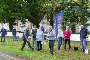 Ballymoney planting a few years ago