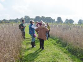 15th Sept 2017 - a visit to see Our Trees in the Millenium Wood