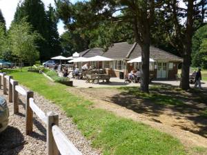 BBQ at the Devils Punchbowl Cafe Photographs