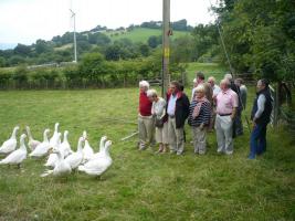 Abertillary and Knighton with quiz master Mike from Crickhowell RC
