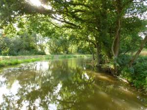 Canal Boat Trip Aug. 2013