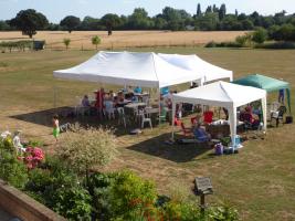 A Bird's Eye View of BBQ