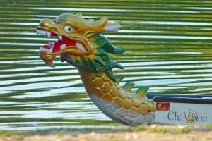 Dragon Boat Race