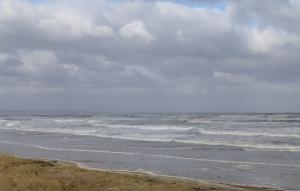 Tentsmuir ----Ten Thousand Years of Enviromental History in ten minutes.