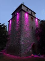 Lighting up Newtown in Purple for World Polio Day