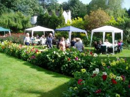 Guests ready for the meal