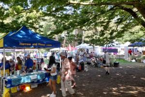 2023 Pinner Rotary Village Show