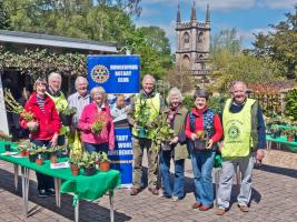 The Plant Sale