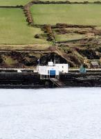 Bradda Head Nature Trail - Information Point Number 7