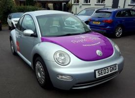 The Beetle in Purple