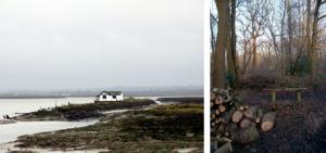 Winning photos: House in North Fambridge and Logs, Thrift Wood