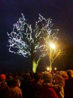 Tree of Lights switch on