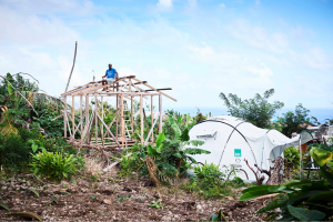 Shelterbox LR C image 1