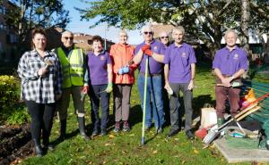 The Rotary Club of Rayleigh Mill marks World Polio Day by planting 5000 crocus corms in and around Rayleigh