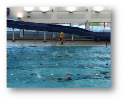 Swimmers in action
