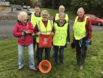 Planting Purple Crocuses for Polio