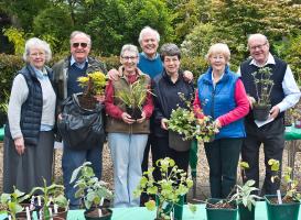 The Plant Sale