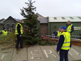 Port Erin Christmas Trees 2019