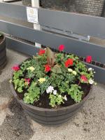 Summer planting at Burton Station