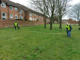 Preparation for the wildflower meadow