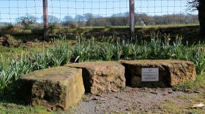 River Dee walk to Tongland Bridge .... we worked with James Smith Fencing....we work with many others.....take a walk and see what else we could do....