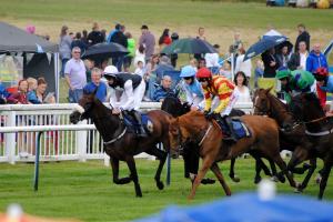 Rotary at the Races