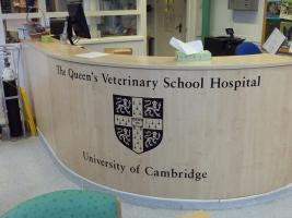 Apr 2017 Club Visit to the Cambridge Vet School