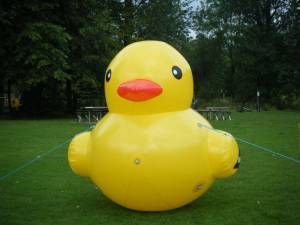 Theme for the day - the Duck Race